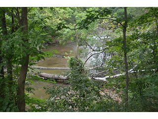 Property photo 4 - REAL ESTATE AUCTION - 8.75+/- ACRES OFFERED IN 2 TRACTS IN ALLEN COUNTY